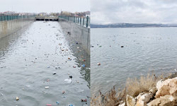 Van Gölü’ne tehlike akıyor!