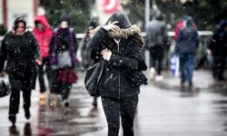 Meteorolojiden Van için sarı kodlu uyarı: Kuvvetli sağanak ve toz taşınımı geliyor!