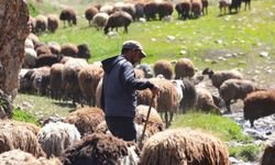 Van’da 120 bin lira maaş veriliyor, ama kimse kabul etmiyor!