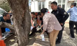 Okul katliamından yaralı kurtulan öğrenci dehşet anlarını anlattı!