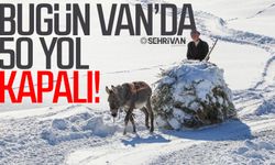 Van’da 50 yol kapalı olacak: İşte kapalı yol bilgisi…