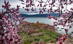 Van’da ‘Foto Safari’ yarışmasının kazananları belli oldu! İşte kazanan isimler…