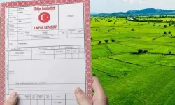 Köyde evi olana kötü haber: Tek tek yıkılacak