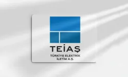 TEİAŞ Van’da daimi işçi alımı yapacak! İşte başvuru şartları, tarihi ve kadro dağılımı