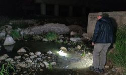 Dünyada sadece Van’da yaşayan canlıya yasak geliyor!