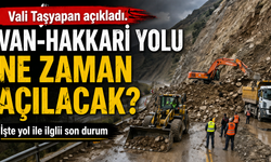 Van-Hakkari yolu ile ilgili flaş gelişme! Yol açılacak mı?