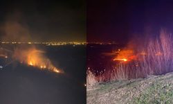 Van'da sazlık alanda yangın çıktı