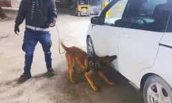 Van’da durdurulan araçta yüklü miktarda esrar çıktı!