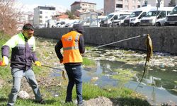 Dünya’da yalnızca Van’da yaşayan canlının göç yolu temizleniyor
