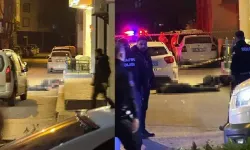 Van'da otel sahibi ve oğlunu öldüren avukat ve ağabeyi için istenen ceza belli oldu!