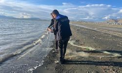 Tuşba’da ekipler kaçak avcılığa geçit vermiyor: 300 kilo inci kefali doğal yaşam alanına bırakıldı!