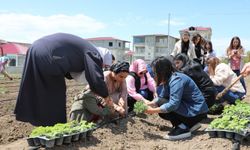 Toprağın bereketi kadın emeğiyle buluştu: Tuşba'da bu yılın ilk fide ekimiyle yeni sezon başladı!