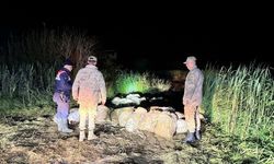 Dünyada yalnızca Van’da yaşayan canlıyı avladılar: Büyük ceza kesildi