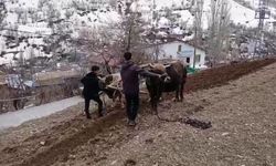 Van’da modern teknolojiye direnen gelenek: Bin yıllık miras yeniden hayat buldu!