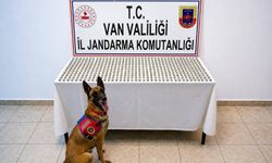 Van’da bu kadarına da pes dedirtecek uyuşturucu operasyonu!