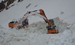 Van’da 5 aylık çile bitiyor: Dev yolun açılış tarihi belli oldu!