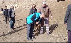 Van’da vatandaşlara doğru kurban nasıl kesilir etiğimi verildi!