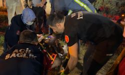 Van'da trafik kazası: 8 yaralı