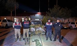 Yıllar geçiyor, Van’da manzara değişmiyor: Doğal mirasa ihanet!