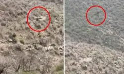 Şırnak'ta Afrika’yı aratamayacak görüntü!