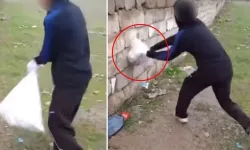 Van'da kan donduran görüntüler: Çuvala koydukları kediyi duvara vurup tekmelediler!