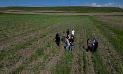 Tuşba’da çiftçilere fidan, sebze fidesi ve toprak analizi desteği