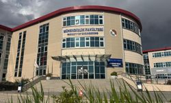 Van uluslararası önemli bir buluşmaya hazırlanıyor