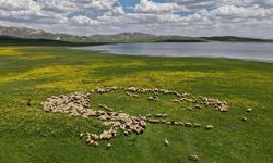 Van’daki Keşiş Gölü eşsiz doğasıyla ilgi odağı oldu