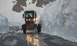 Bahçesaray yolu 6 ay sonra ulaşıma açıldı