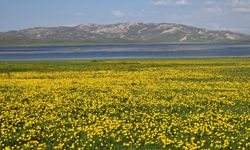Van'ın saklı cenneti: Tam 2 bin 800 yıllık!