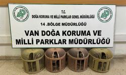 Van’da kaçak avcılara ağır darbe: On binlerce lira ceza!