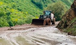 Hakkari’de mezra yolu ulaşıma kapandı!