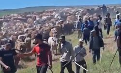 Arazi tartışması silahlı kavgaya dönüştü: Yaralılar var!