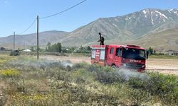 Van’da anız yangını çıktı!