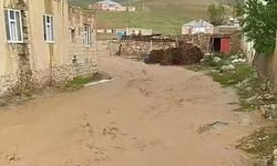Van'da şiddetli yağış sel getirdi! Köprüler taştı, yollar kapandı!