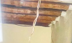 Eve giren yılanlar mahalleyi ayağa kaldırdı