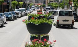 Van’da cadde ve orta refüjler sardunyalarla süslendi!