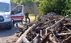 Böyle vahşet görülmedi! Tartıştığı eşini odunla döverek öldürdü!
