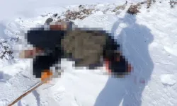 Hakkari'de erkek cesedi bulundu!