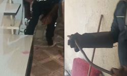 Evde korku dolu anlar! Dolabın arkasından yılan çıktı