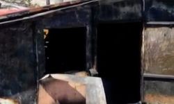 Çiftlik yangını faciaya dönüştü: Binlerce tavuk telef oldu!