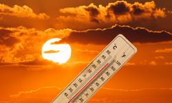 Vanlılar dikkat! O ilçelerde sıcaklık 38 dereceyi bulacak