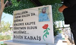 Rojin Kabaiş’le ilgili yeni gelişme: Kıyafetlerinde DNA örneği alınmadığı ortaya çıktı!