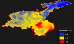 Van Gölü’nde ölümcül risk! Uydu verileri tehlikeli bölgeleri ortaya çıkardı