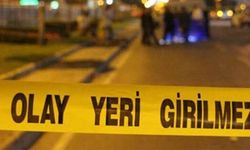 Van'da düğün eğlencesi kavgayla bitti: Çok sayıda yaralı var!