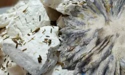 Van’da otlu peynir ve tuzlu balık tüketenler dikkat! Başhekim Sarıkaya Uyardı…