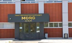 İş makinasının altında kalan işçiden acı haber!