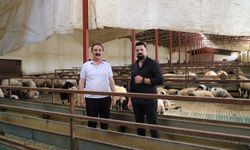 Van Ticaret Borsası hayvancılığın sorunlarını sahada dinledi