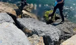 3 kardeşin sır ölümünde kahreden detay!
