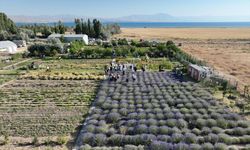 Van’da 7. Tıbbi ve Aromatik Bitkiler Hasat Bayramı düzenlendi